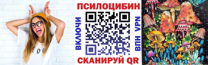 Псилоцибиновые грибы прущие грибы  где купить   Нововоронеж 